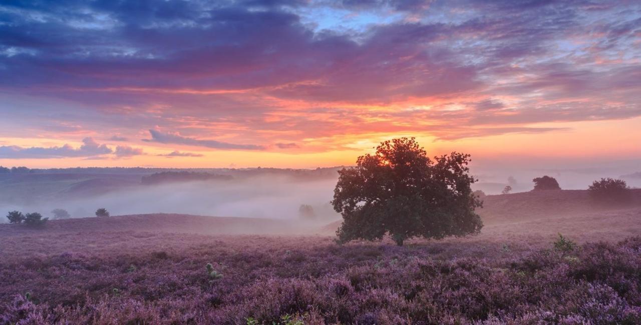 Sfeervol Chalet Op De Veluwe Putten Eksteriør billede